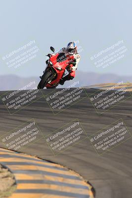 media/May-14-2023-SoCal Trackdays (Sun) [[024eb53b40]]/Turns 9 and 10 Set 1 (8am)/